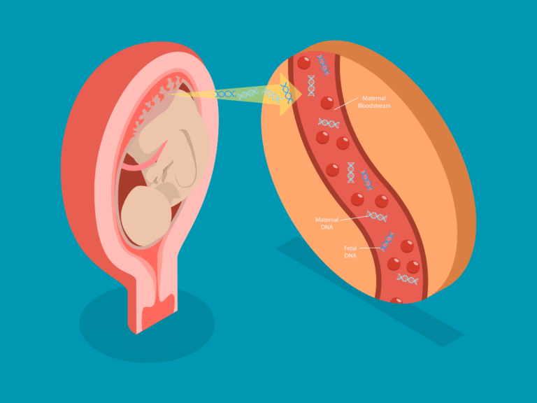 Nesa website service image gallery (1)